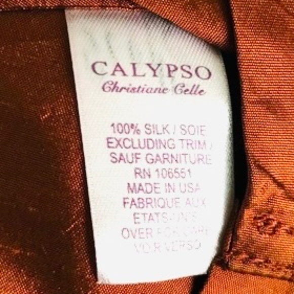 Calypso Christiane Celle Gorgeous 100% SILK Short Sleeve A-Line Wrap Dress! LOVE - Picture 5 of 7
